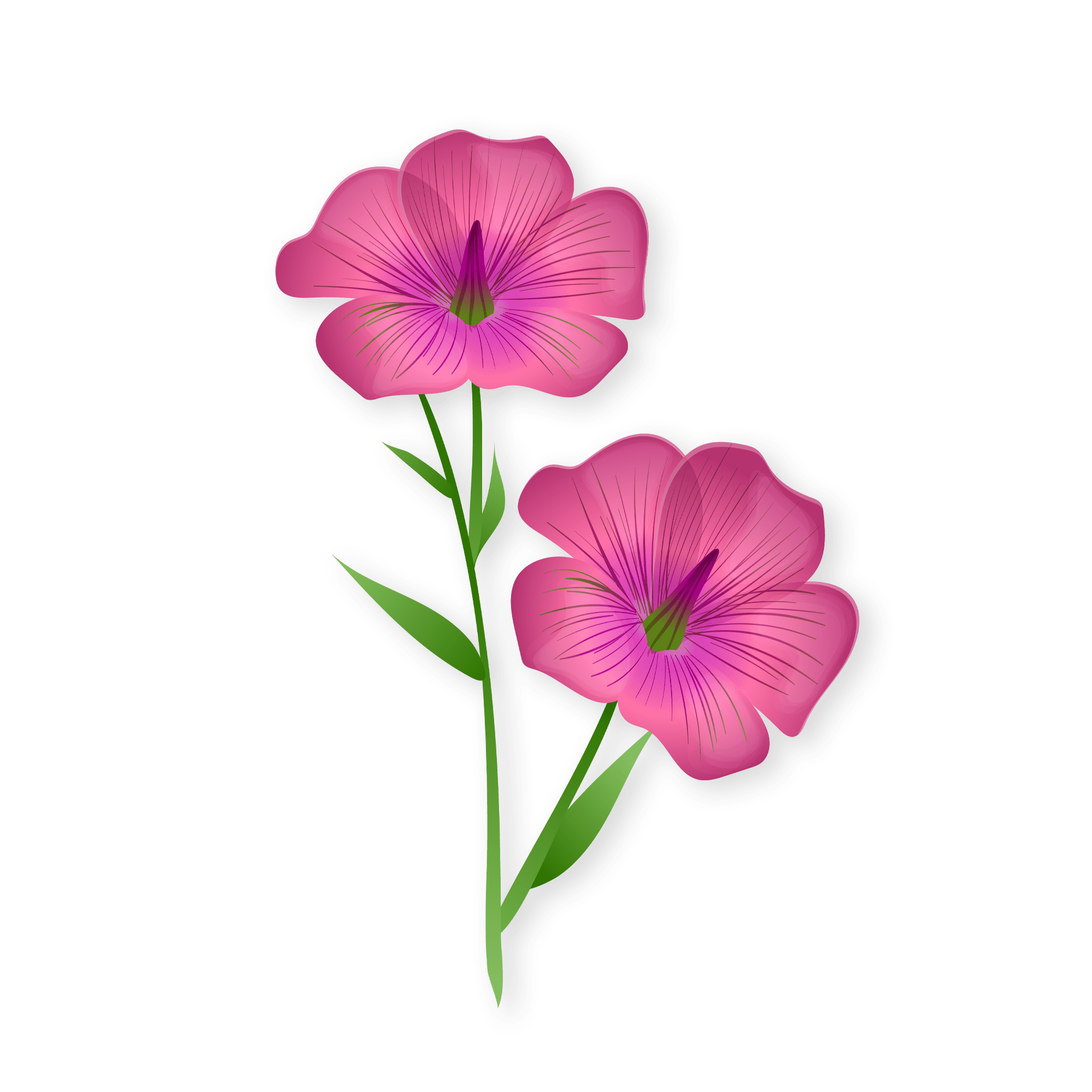 Influencer brand collaboration promotional photoshoot